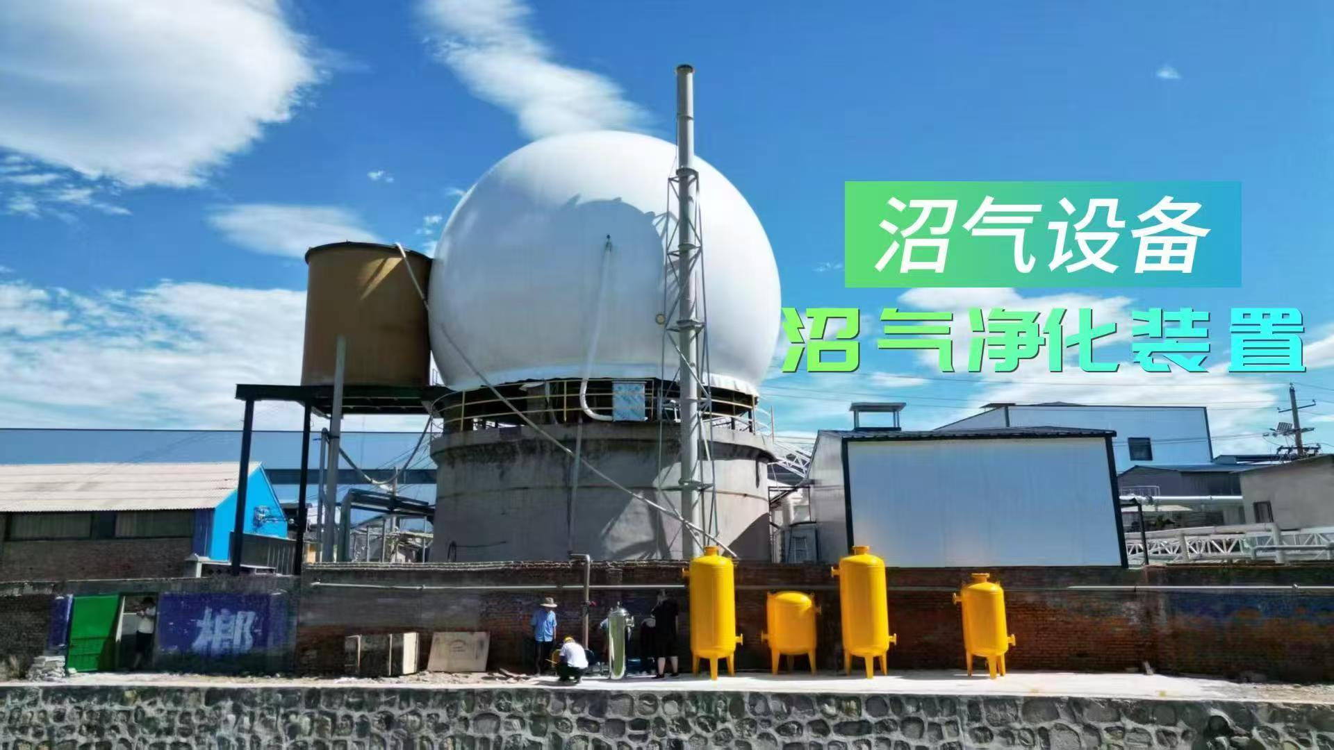 德州沼气处理